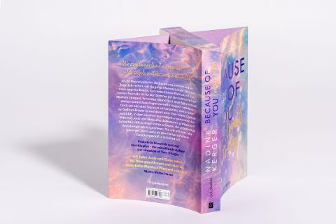 InsideView 4
