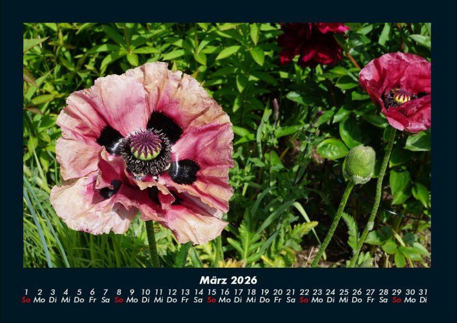 InsideView 7