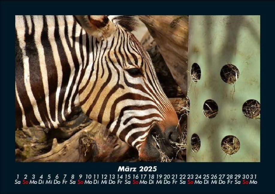 InsideView 7