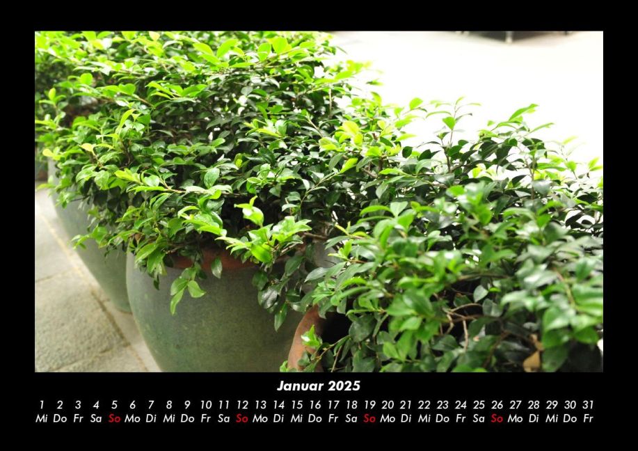 InsideView 5