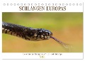 Schlangen Europas (Tischkalender 2024 DIN A5 quer), CALVENDO Monatskalender - Wolfgang Simlinger