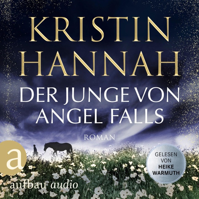 Der Junge von Angel Falls - Kristin Hannah