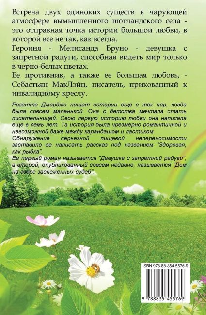 InsideView 1