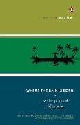 Cover-Bild zum Titel 'Where the Rain Is Born' von 'Anita Nair'