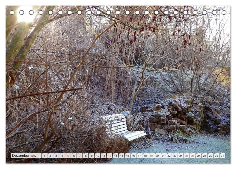InsideView 4