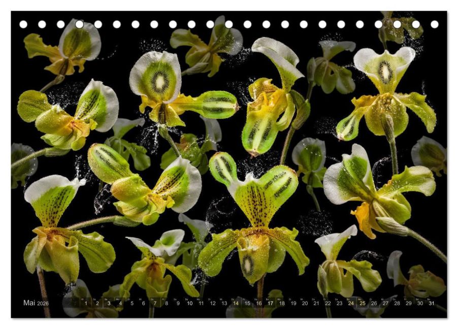 InsideView 10