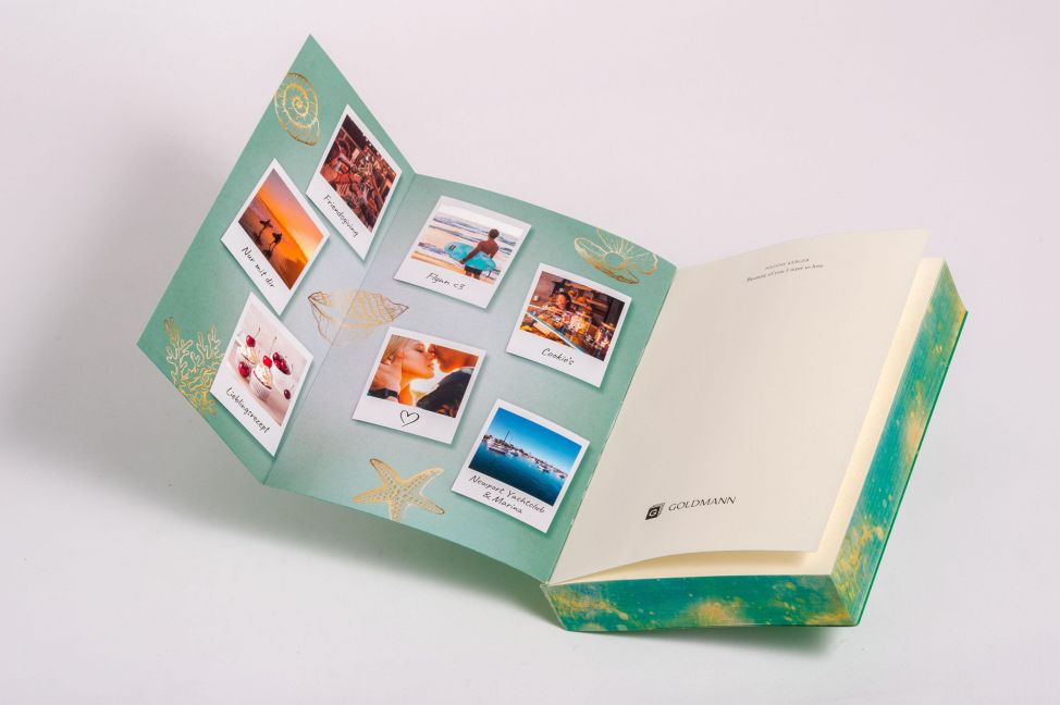 InsideView 6