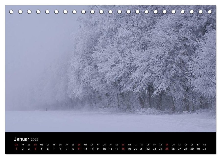 InsideView 6