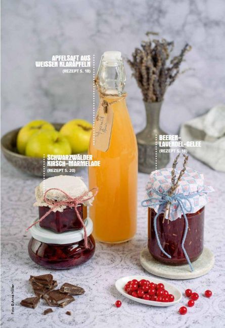 InsideView 10