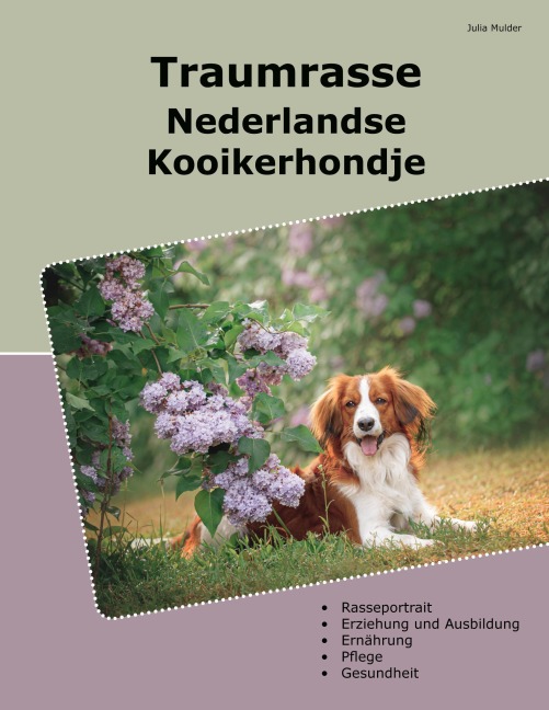 Traumrasse Nederlandse Kooikerhondje - Julia Mulder