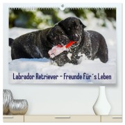 Cover-Bild zum Titel 'Labrador Retriever - Freunde für¿s Leben (hochwertiger Premium Wandkalender 2026 DIN A2 quer), Kunstdruck in Hochglanz' von 'Sigrid Starick'