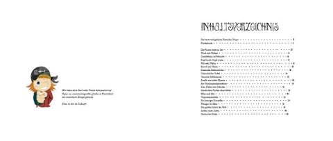 InsideView 2