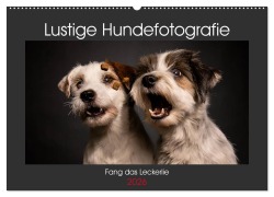Cover-Bild zum Titel 'Fang das Leckerlie (Wandkalender 2026 DIN A2 quer), CALVENDO Monatskalender' von 'Christiane Heggemann Eyecatcher-Fotografie'