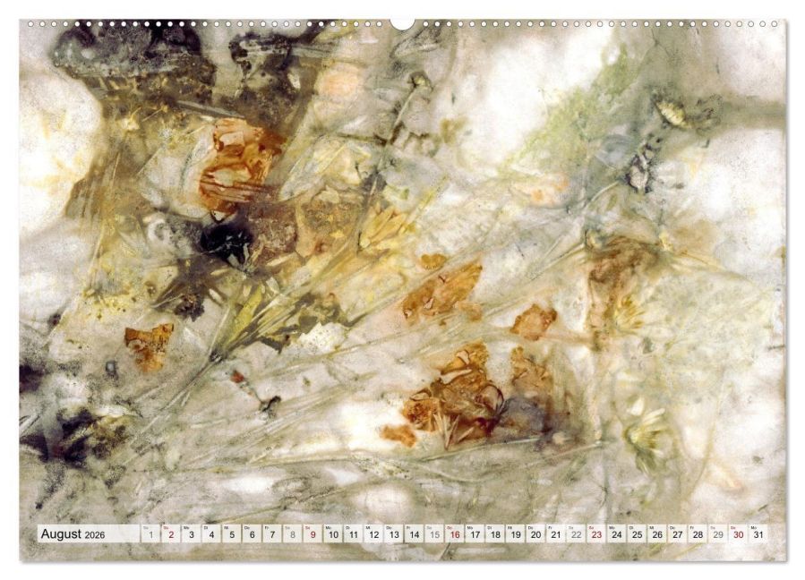 InsideView 13