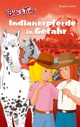 Cover-Bild zum Titel 'Bibi & Tina - Indianerpferde in Gefahr' von 'Stephan Gürtler'