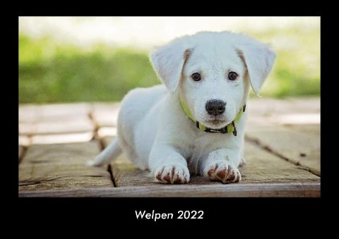 Welpen 2022 Fotokalender DIN A3 - Tobias Becker