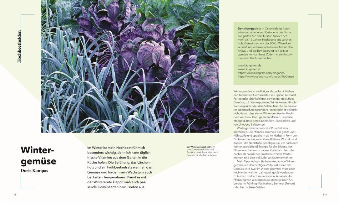 InsideView 6