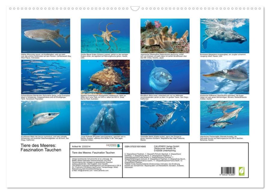 InsideView 5