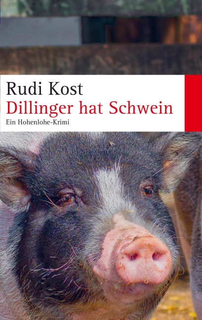 Dillinger hat Schwein - Rudi Kost