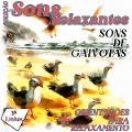 Cover-Bild zum Titel 'Coleção Sons Relaxantes - Sons de Gaivotas' von 'Silvia Strufaldi'