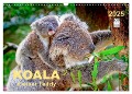 Koala - kleiner Teddy (Wandkalender 2025 DIN A3 quer), CALVENDO Monatskalender - Peter Roder