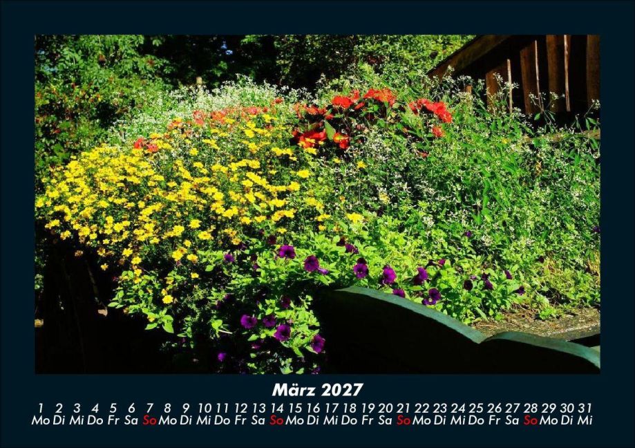 InsideView 7