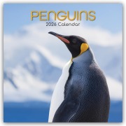 Penguins - Pinguine 2026 - 16-Monatskalender - Gifted Stationery Co. Ltd