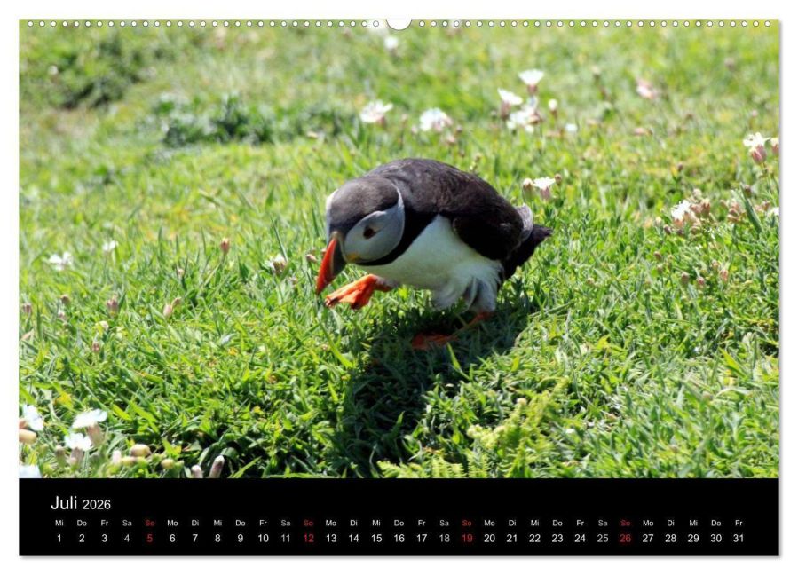 InsideView 12