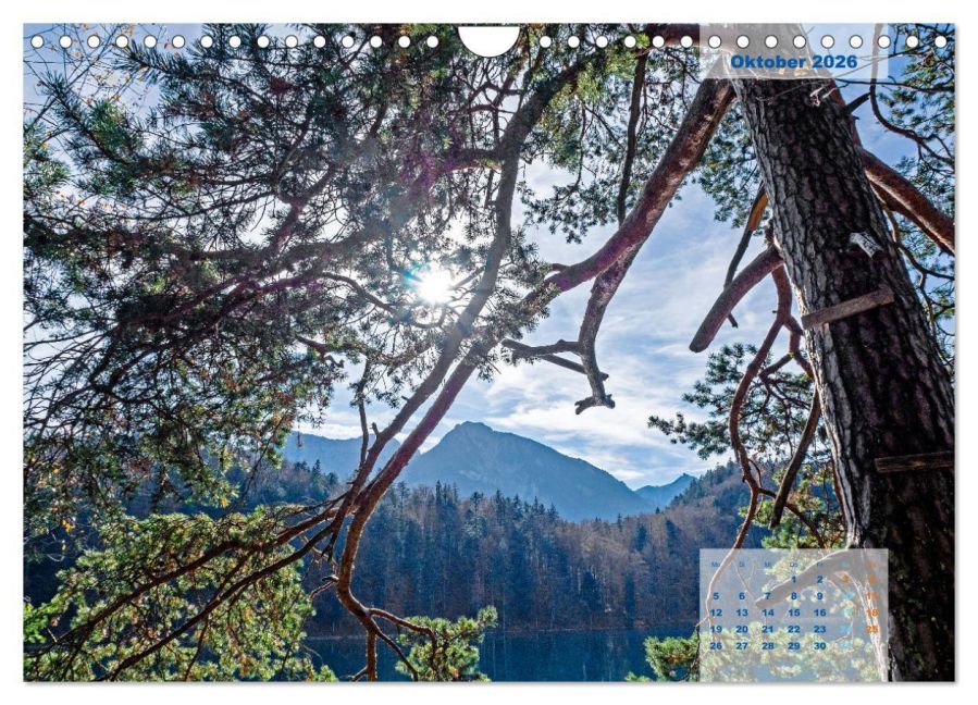 InsideView 2