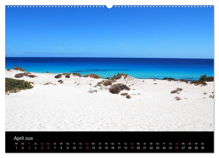 InsideView 9