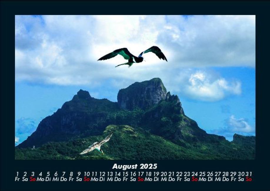 InsideView 12