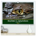 Reptilien & Amphibien Portraits (hochwertiger Premium Wandkalender 2024 DIN A2 quer), Kunstdruck in Hochglanz - Klaus Vartzbed