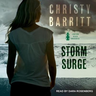 Storm Surge Lib/E - Christy Barritt