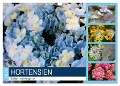 Hortensien Blühen und Vergehen (Wandkalender 2025 DIN A3 quer), CALVENDO Monatskalender - Gisela Kruse