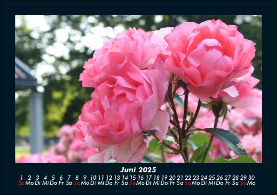 InsideView 10