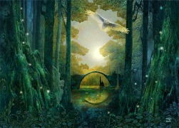 Cover-Bild zum Titel 'Anderswald' von ''