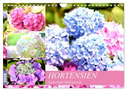 Cover-Bild zum Titel 'Hortensien. Zauberhafte Blütenpracht (Wandkalender 2026 DIN A4 quer), CALVENDO Monatskalender' von 'Rose Hurley'