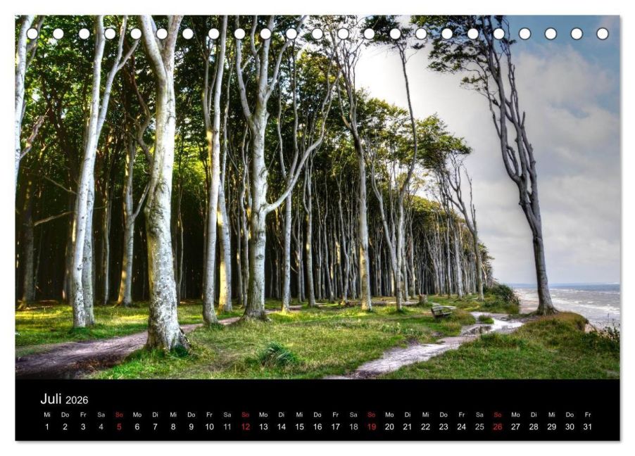 InsideView 12
