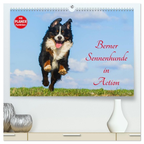 Berner Sennenhunde in Action (hochwertiger Premium Wandkalender 2025 DIN A2 quer), Kunstdruck in Hochglanz - Sigrid Starick