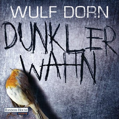 Dunkler Wahn - Wulf Dorn