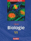 Fokus Biologie 11. Schülerbuch - Gymnasium Bayern - Axel Björn Brott, Gabriele Gräbe, Walter Kleesattel, Reiner Kleinert, Wolfgang Ruppert