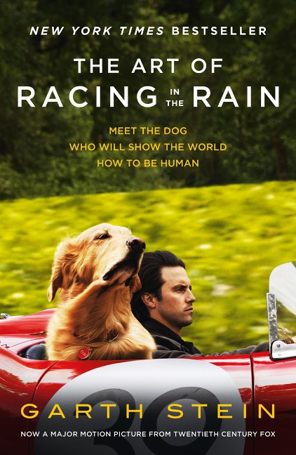 The Art of Racing in the Rain - Garth Stein