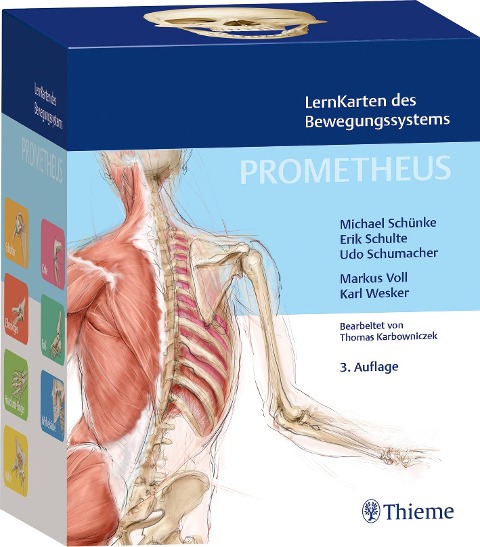 PROMETHEUS LernKarten des Bewegungssystems - Michael Schünke, Erik Schulte, Udo Schumacher