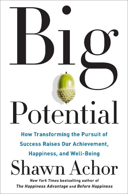 Big Potential - Shawn Achor