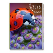Trötsch Taschenkalender A7 Marienkäfer 2026 - 