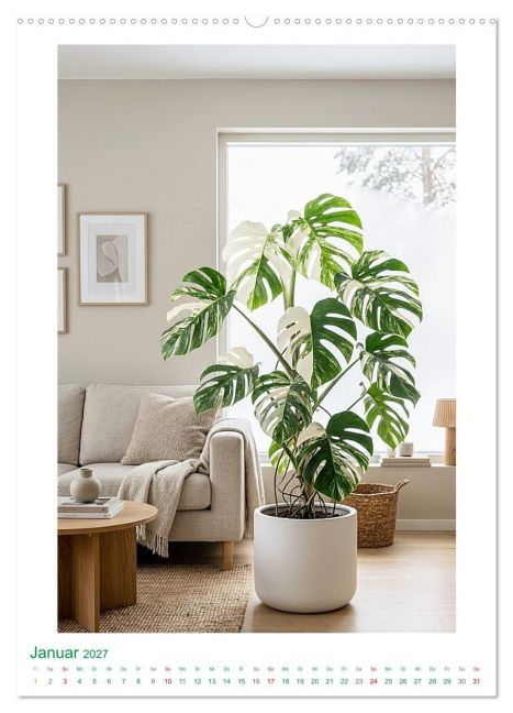 InsideView 6