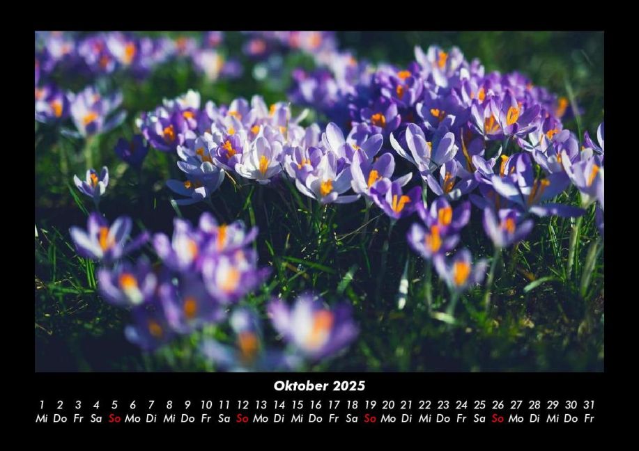 InsideView 2