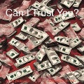 Cover-Bild zum Titel 'Can I Trust You?' von 'Athan Rodirfuez'