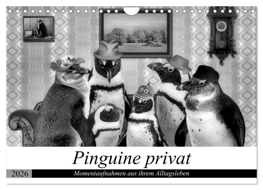 Pinguine privat (Wandkalender 2026 DIN A4 quer), CALVENDO Monatskalender - Garrulus Glandarius