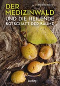 Cover-Bild zum Titel 'Der Medizinwald und die heilende Botschaft der Bäume.' von 'Elfriede Hübner'